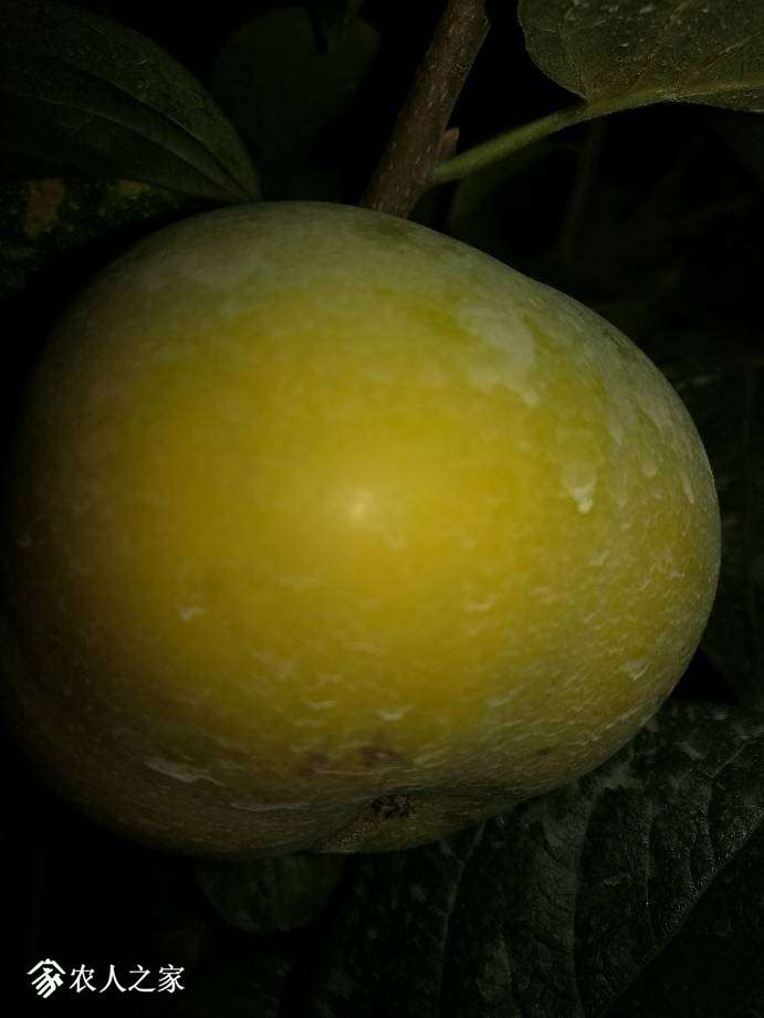 081526wpqhimvilwmhvtgq.jpg
