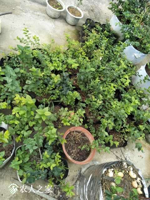 IMG20170921082908.jpg