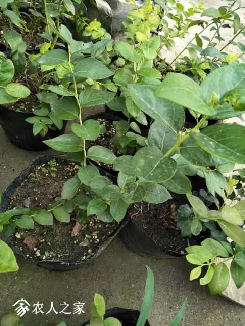 IMG20170921082948.jpg