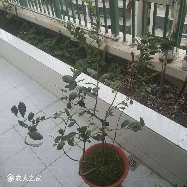 121733tilrcl7q4hitfahp.jpg