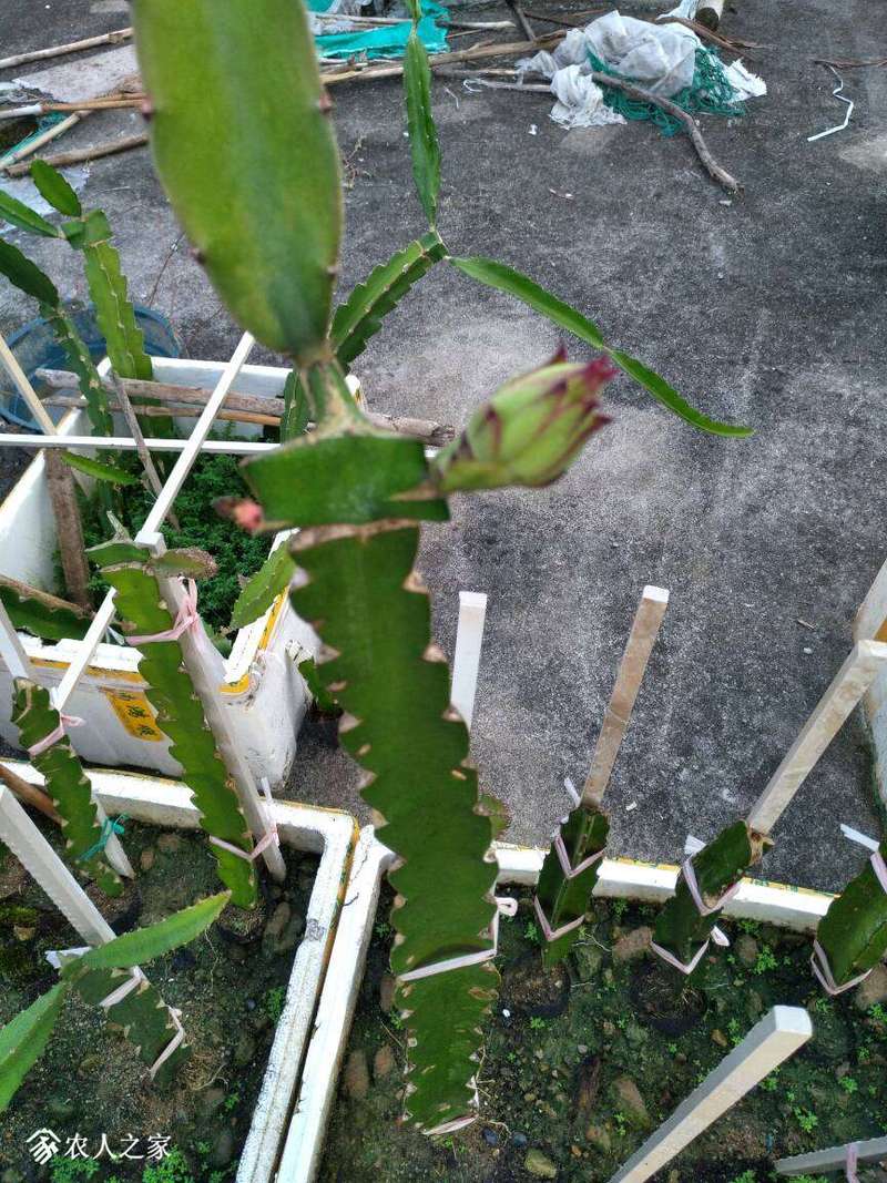123739uhfhg0gggfk2068g.jpg