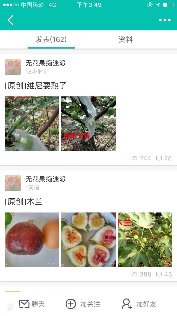 155207sfp12sdp2papaaad.jpg