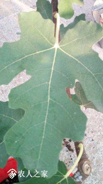 ΢ͼƬ_20170922160811.jpg