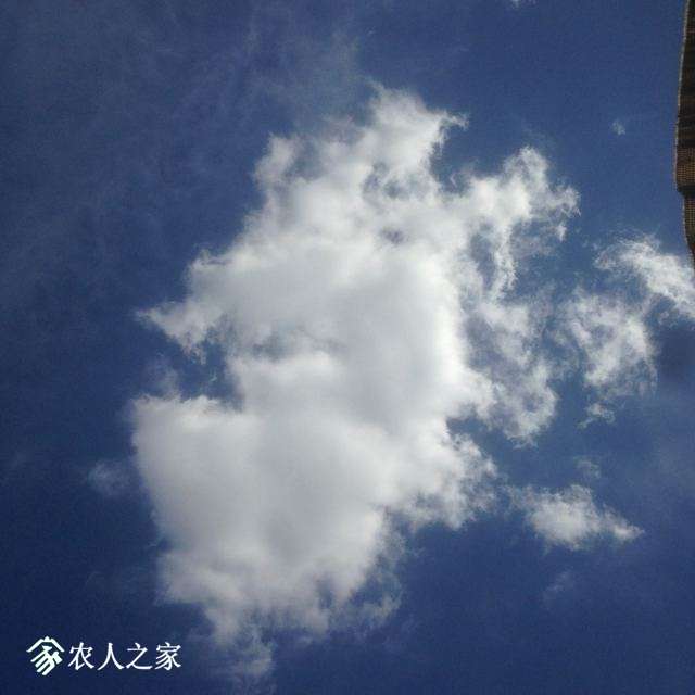 014.JPG