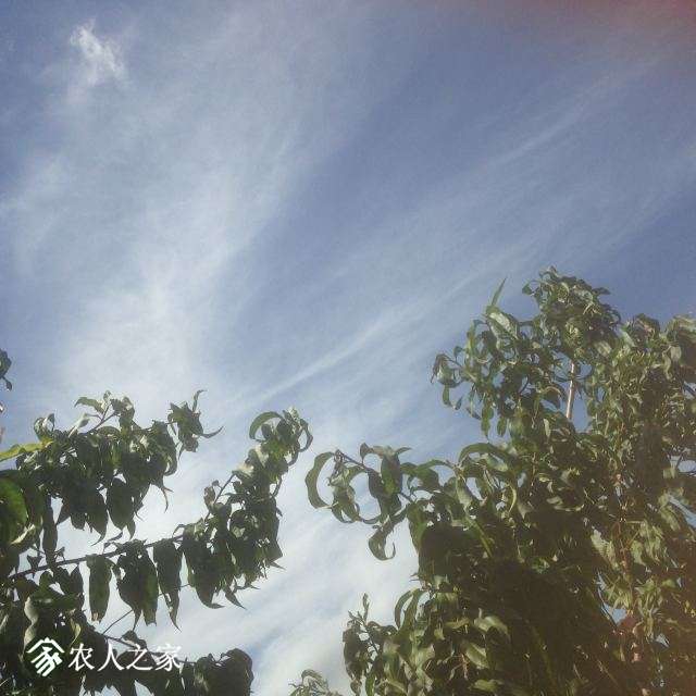 015.JPG