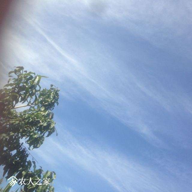 018.JPG
