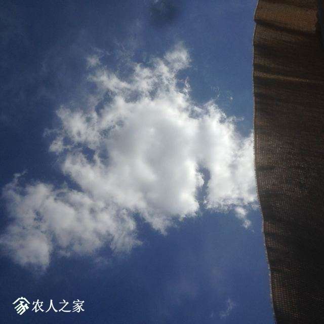 017.JPG