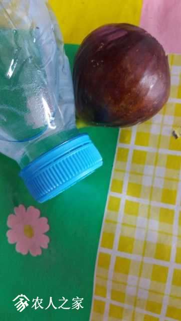 20170813_122245.jpg