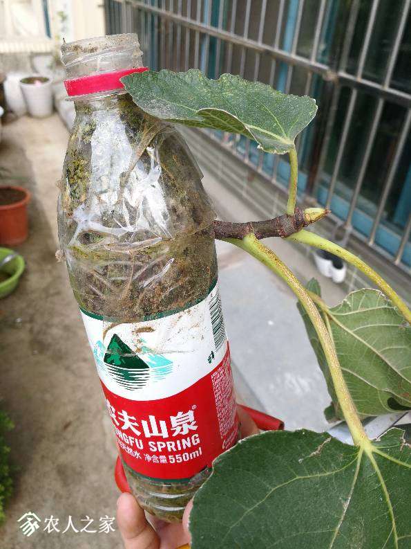 172543jiukstmkrlyfyymi.jpg