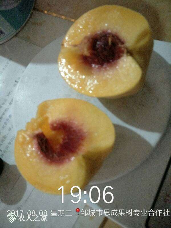 021712wamlyavcuum7frtt.jpg