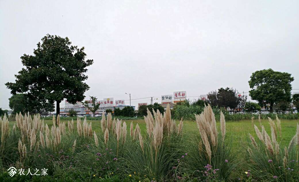 100454m4nb399jl8b4947m.jpg