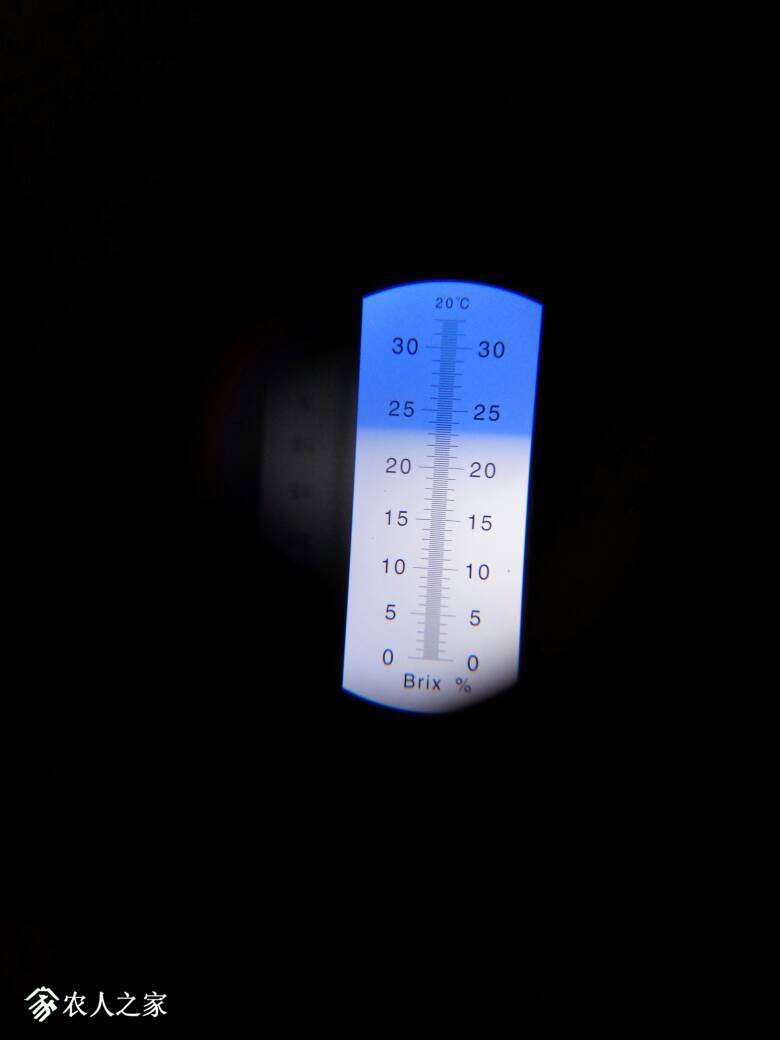 122138cbj0dz4zz0hmu4mm.jpg