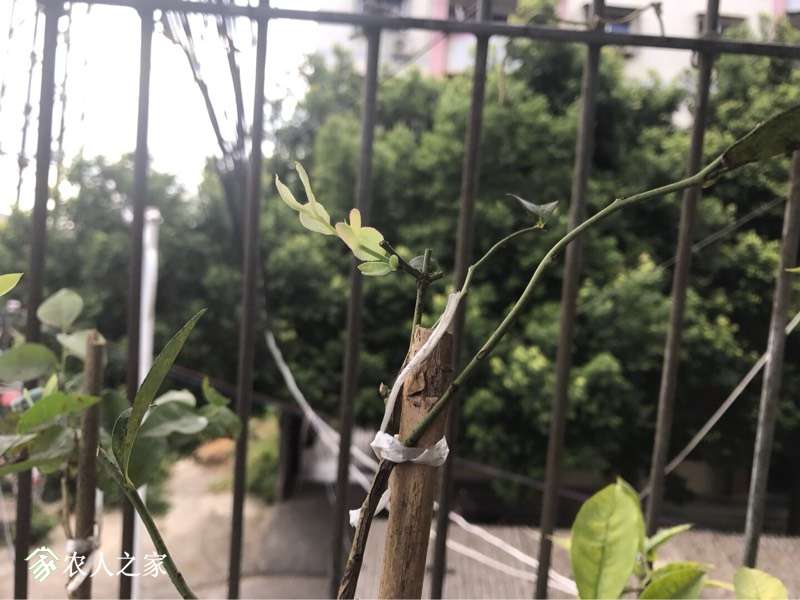 190537vqdd6comc24xuwhm.jpg