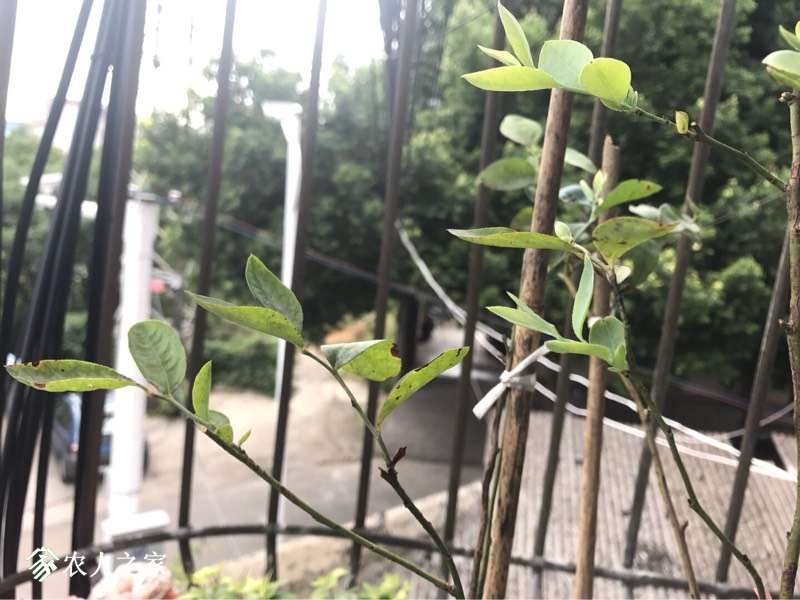 190539picibhxz7xchfdh7.jpg