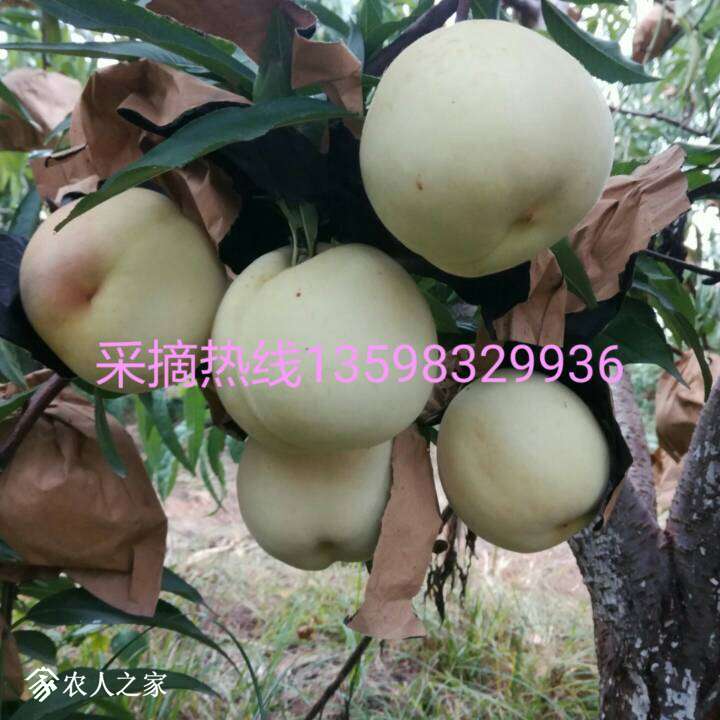 221658qfr0zbw8jrfrfwwd.jpg