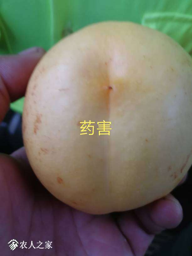002840zpuhml5ufihg2uil.jpg