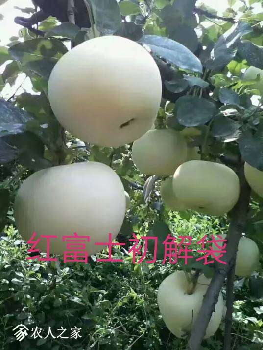 003525biw414rzjiiwwwzp.jpg