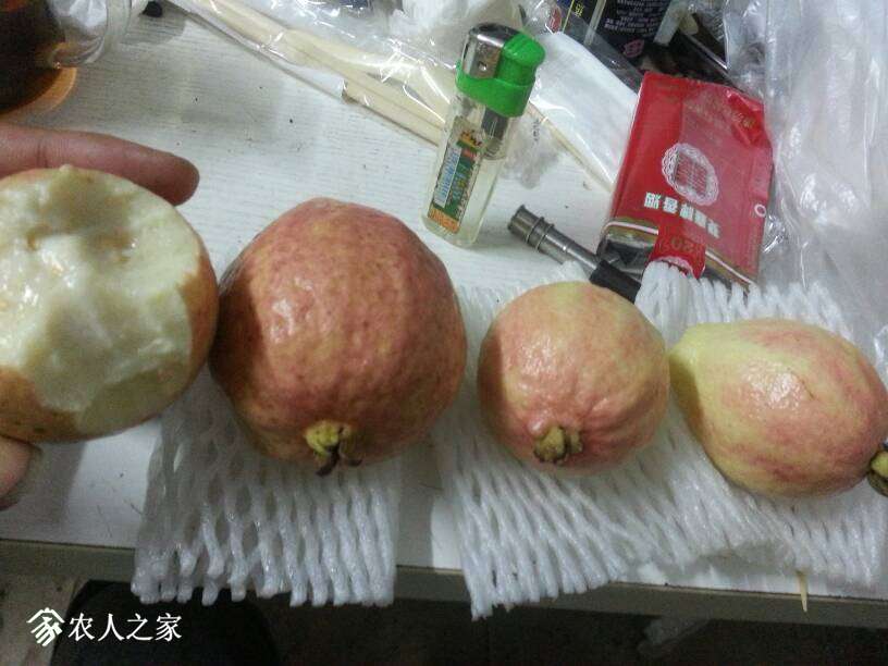 175526nbva6l6ywtmwm6ey.jpg