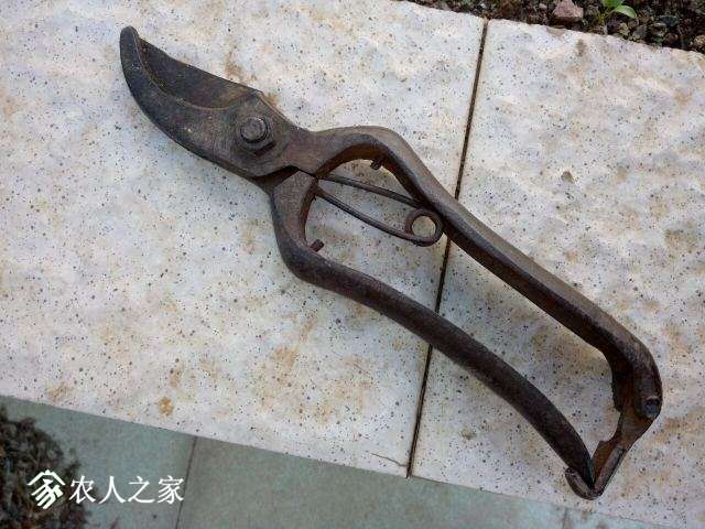 -4.jpg
