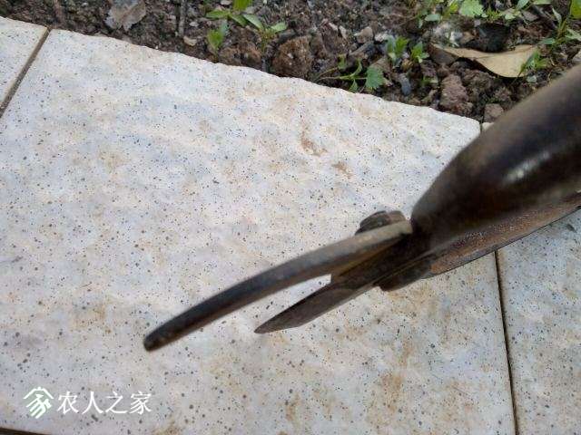 -8.jpg