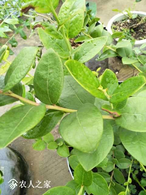 IMG20170926092628.jpg