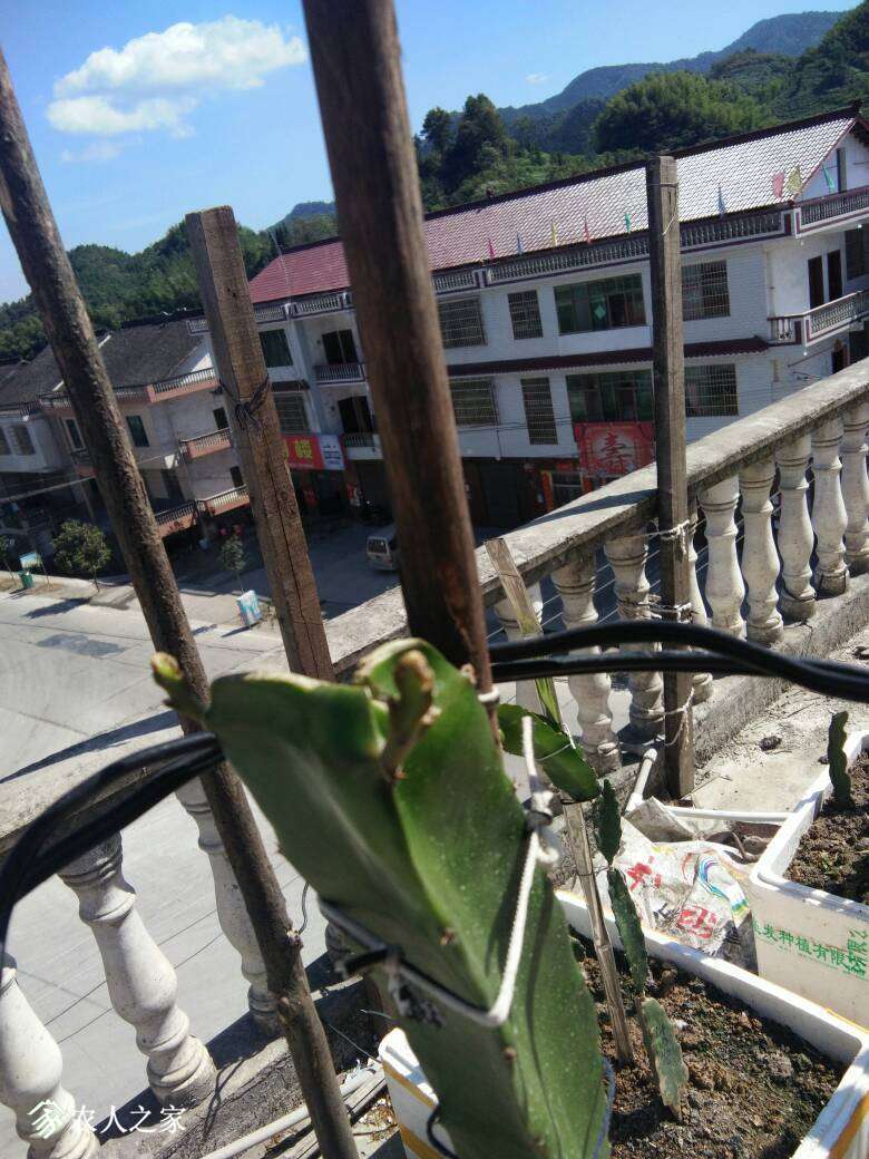 105708pqa6aaq5qs46ba3u.jpg