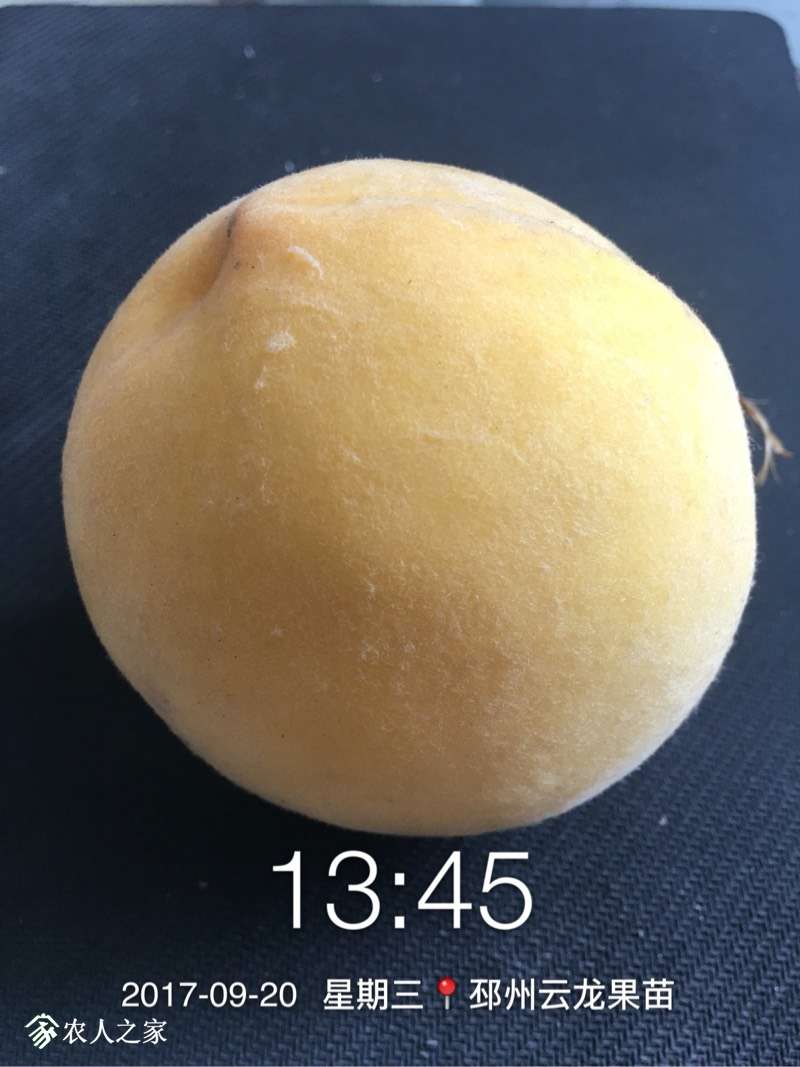 154543kg28xlelzfvlcxz8.jpg