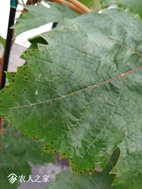 IMG_20170926_180912.jpg