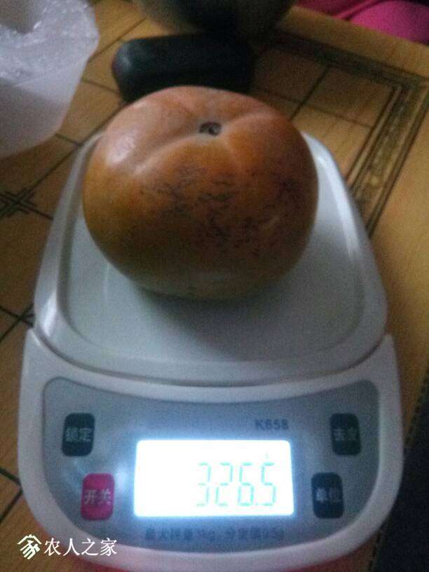 064915bebj0vbahaott9ne.jpg