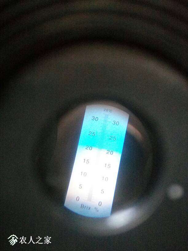 064915kvukqa0von7n3poq.jpg