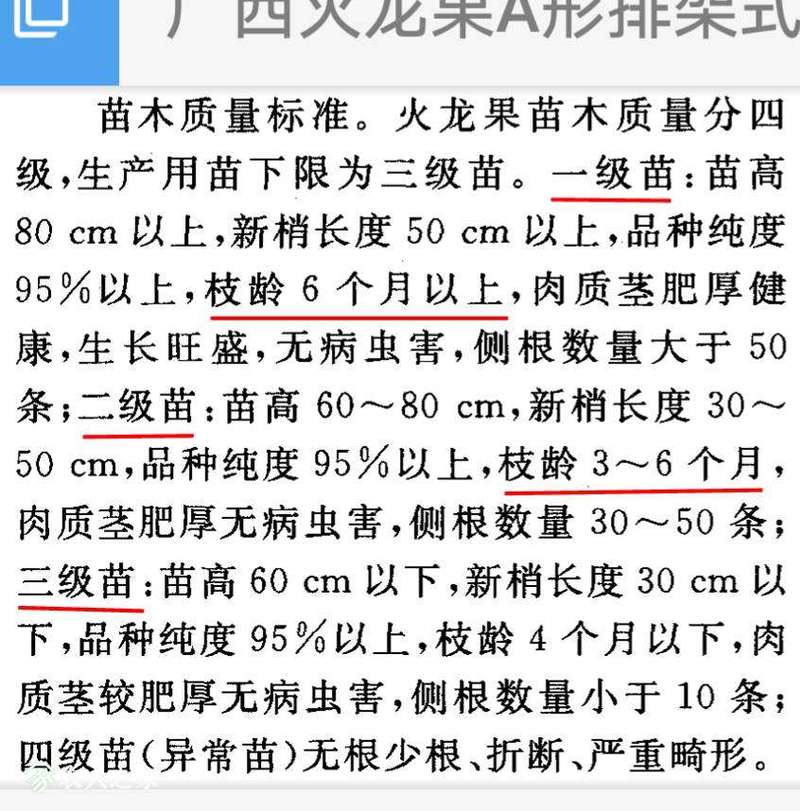 065842zcu8paoofmuqa208.png