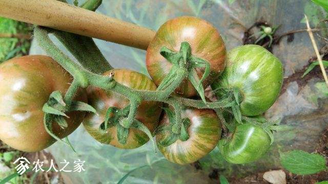 20170625_153059.jpg