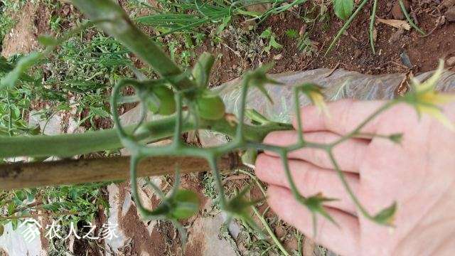20170524_130149.jpg