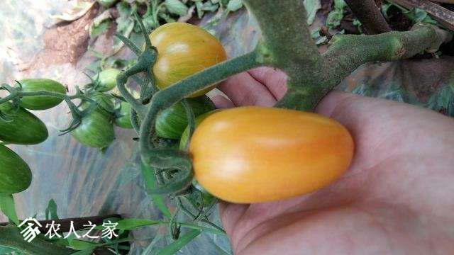 20170620_174506.jpg