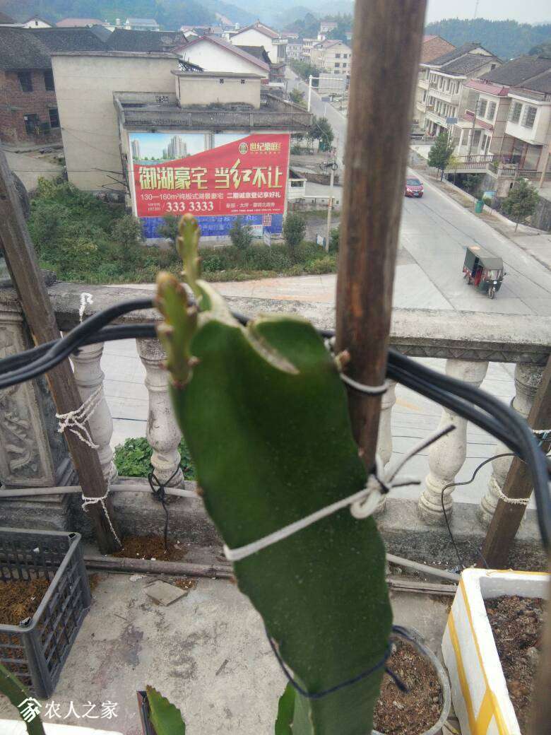 155500tmup3iwrm03uvrht.jpg