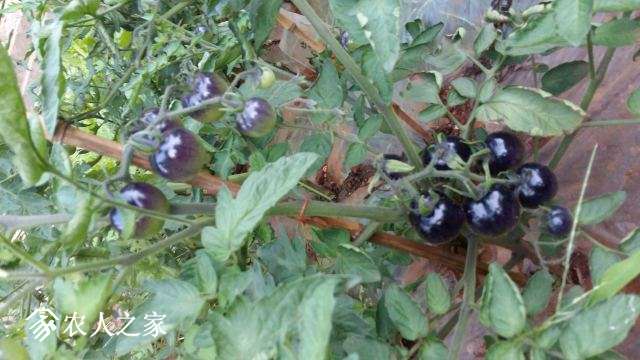 20170623_195329.jpg