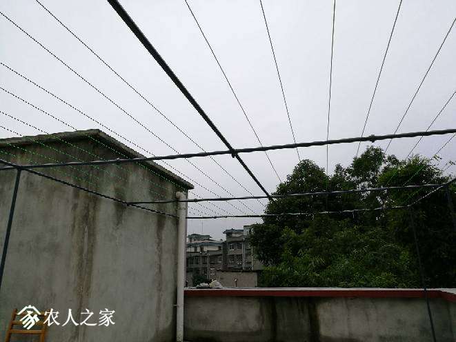 175033z92jt8hl84482r89.jpg