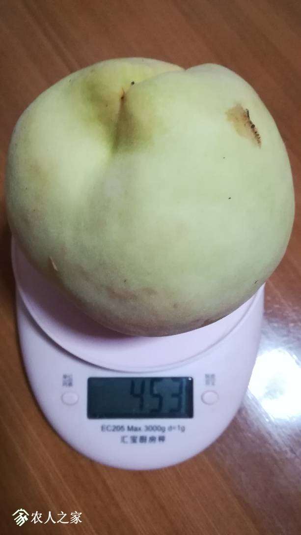 202119cn9x9ly9znxexpnl.jpg