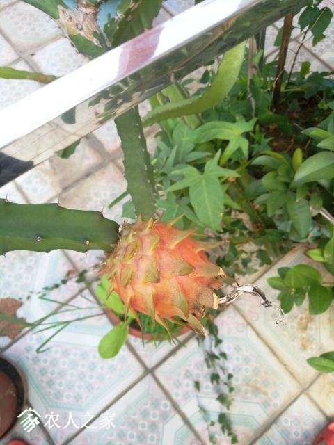 QQͼƬ20170928091554.jpg