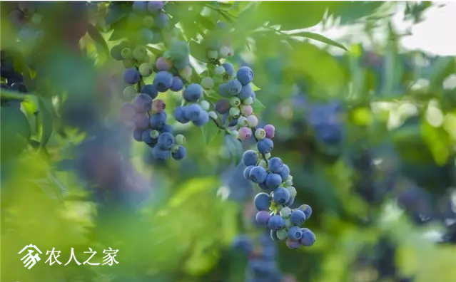 ͼ20170927202429.png