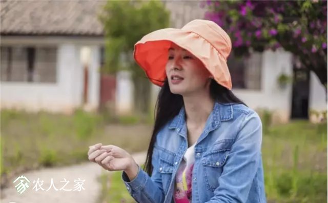 ͼ20170927202546.png