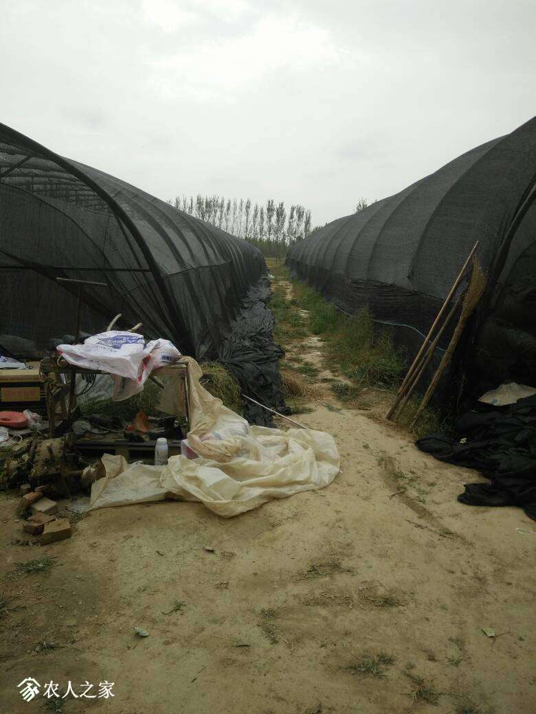 070840htocil77jozjigoo.jpg