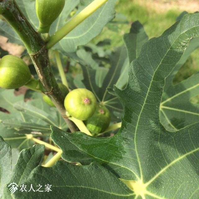 ΢ͼƬ_201709291006153.jpg