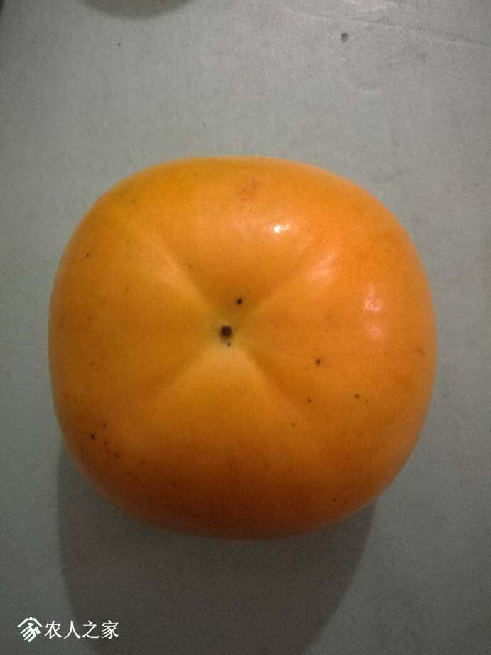 112140a0lftputfgpf6zcj.jpg