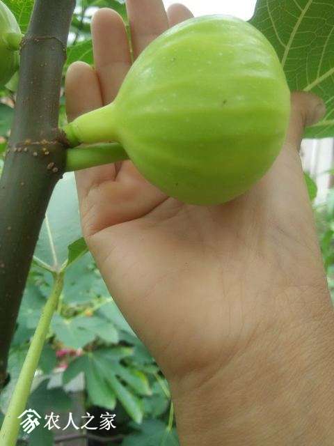 IMG20170929094011.jpg