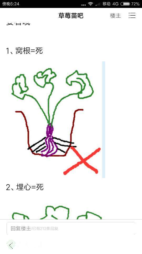 182854d5lm3f51231fgvet.png