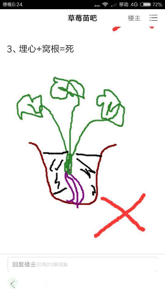 182854edi42mzg4dvxumui.png