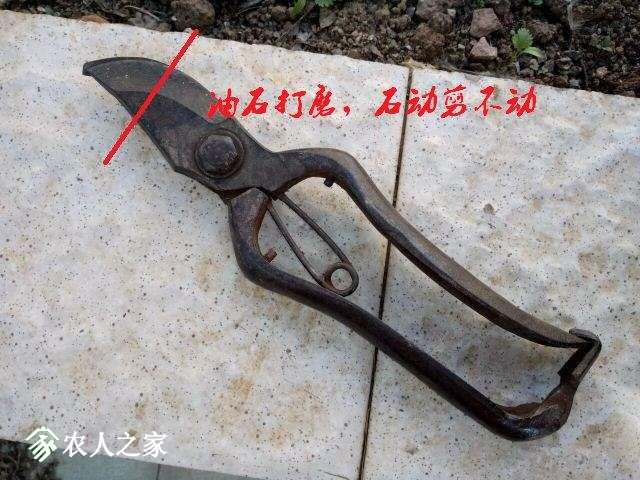 001417is5130skk0yikiv5.jpg