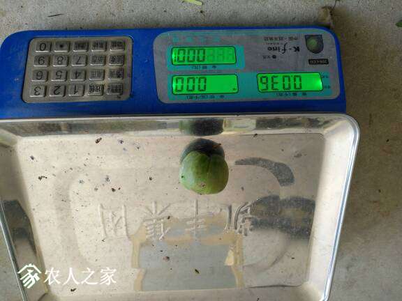 085156uhxb3vchvcnvhoip.jpg
