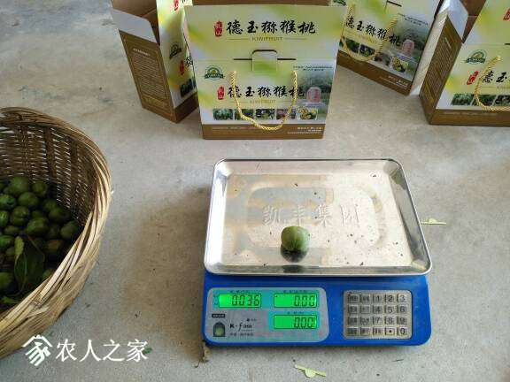 085156xfawbzvlwwzxksps.jpg